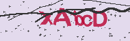 Captcha認証コード